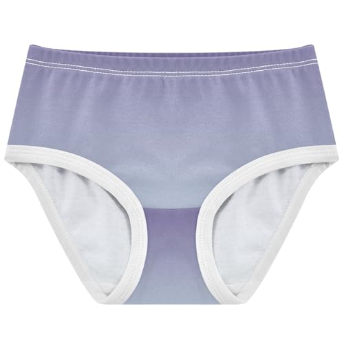 Animal Toddlers Underwear Floral 2t Cotton Little Girl Panties Violet Pale Blue Gradient Briefs Underpants