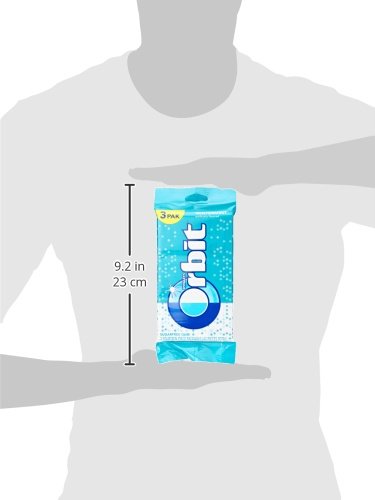 Orbit, Winter Mint Sugar Free Chewing Gum, 42 ct