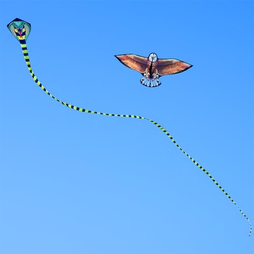 2 Pack Kites for Kids, Beautiful Kite Easy to Fly for Beginners with 328 ft Line & Line Winder, Easy to Fly for Beach Trip and Outdoor Activities - Image 5