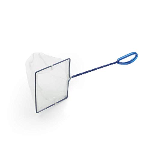 Interpet Filet Pour Poissons, Filet À Maille Fine - 12.7cm X 15.2cm Pour Aquariophilie 12.7cm X 15.2cm