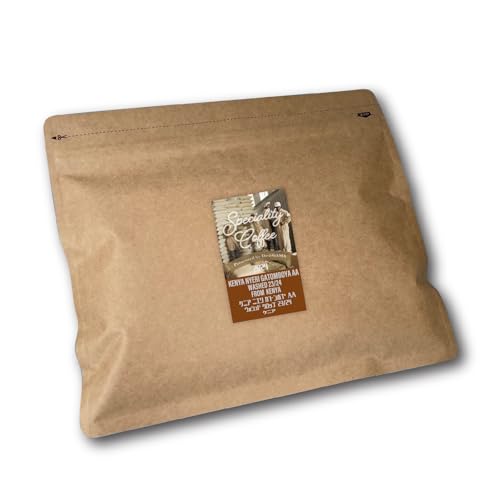 Dr-i-gama XyVeBR[q[  PjA G Kg{ AA (FPTO Cg[Xg: ɐut[o[؂₩Ńt[eBŊÂ̂镗