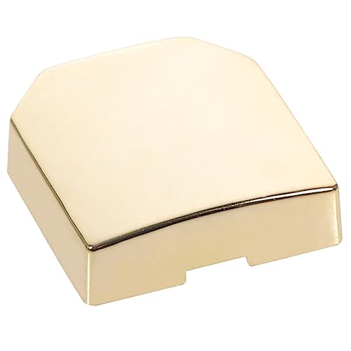 Abaodam ピアノ用メトロノームスライドブロック 金属製耐久性スライダー メトロノーム振り子交換部品 ユニバーサル対応 ピアノアクセサリー