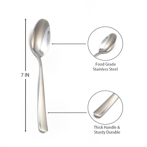 Remoxye 8-Piece Stainless Steel Spoon Set
