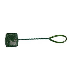 Haquoss Fishnet Small Retino per Pesci, 6X8 cm, 3″