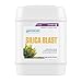 Botanicare SILICA BLAST Plant Supplement 0-0-0.5 Formula, 5-Gallon
