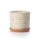 Chubacoo 6 Inch Plant Pot: Ceramic Planter with Drainage Hole & Saucer - Flowerpot for Indoor & Outdoor Plants with Separate Tray for Home & Office - Brush Color