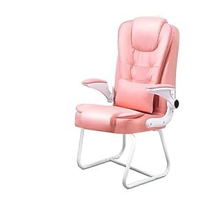 Gaming stoel, Meubilair Bureaustoel Minimalistisch met kussen Draaibare armleuning Multifunctionele vergaderruimte Casual rugleuningstoel (Color : Bow Frame Pillow B)