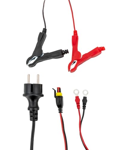 Gys - Gysflash 6.12 Caricabatterie Automatico 12V, 0.8/6A, Piombo, Caricatore Intelligente, Mantenitore, Moto, Auto, Moto D'acqua – 029378 - 6