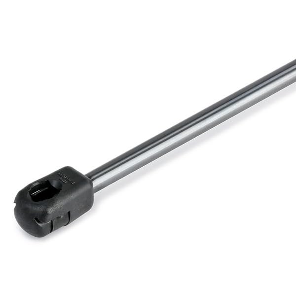 Stabilus