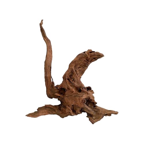 WabiFlur - Natürliches Drift Holz für Aquarium Nano Garden und Terrarien - Schafft einen Wilden und einzigartigen Ambinete, Größe Medium Einzelstück 15-20 cm