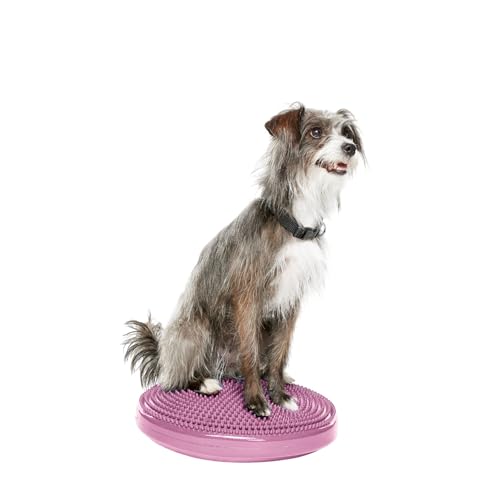 FitPAWS Balance Disc 14