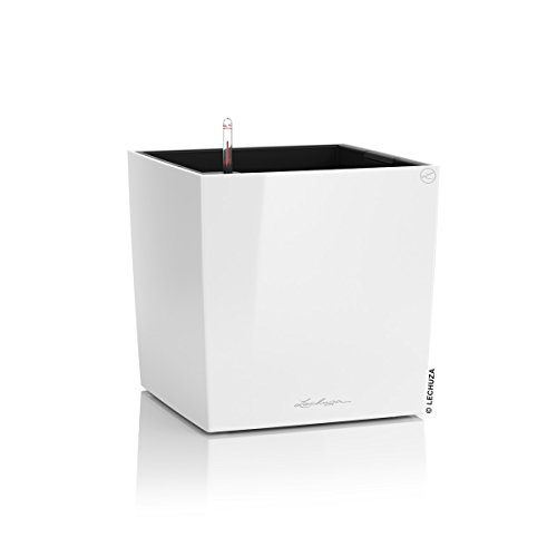 Lechuza Cube 50 Premium