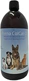 Perna ColCal-D Liquid Calcium and Vitamin D Supplement for Dogs and Cats, 250ml, with Vitamin E