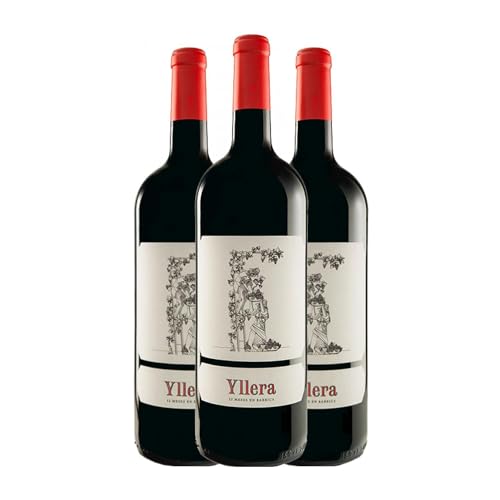 Yllera 12 Meses en Barrica Tempranillo Vino de la Tierra de Castilla y León Crianza Botella Magnum 1,5 L Vino tinto (Caja de 3 Botella Magnum de 1,5 L)