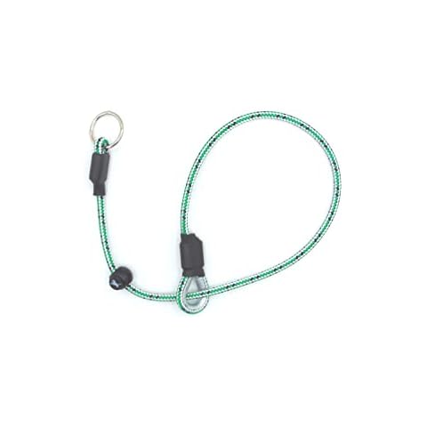 Sporting Saint Field Trial PRO Slip Collar (Large, Red) Cover