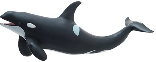 Amazon | シャチ ビニールモデル(FM-301) | 生物・動物・人体 | おもちゃ