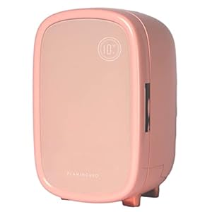 Flamingueo Mini Koelkast – 12L Koelkast, Klein Koelkast Binnenlicht, Minikoelkast 220V, Koelingsfunctie, Minikoelkasten Voor Kamers, Mini Cosmetische Koelkast, Skincare Fridge, Make-up Koeler