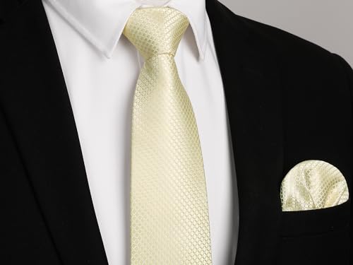 Image of HISDERN Mens Ties Plaid Tie and Pocket Square Set Classic Woven Formal Checkered Neckties & Handkerchief Wedding Party