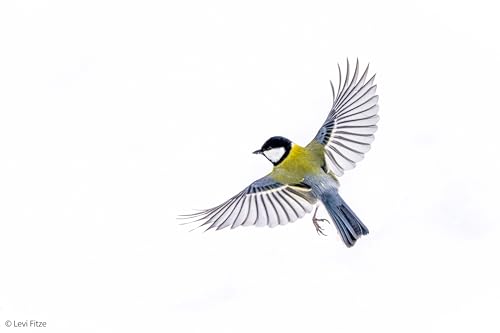 Sony FE 400-800 mm F6.3-8 G OSS | Objectif Super télézoom | Objectif Plein Format Sony | Objectif G | Ultra-téléobjectif Performance