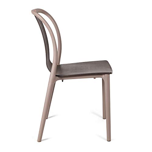 Image of Cello Cheer Plastic Chairs, Brown /D Brown -Set of 2, 17 * 33 inches
