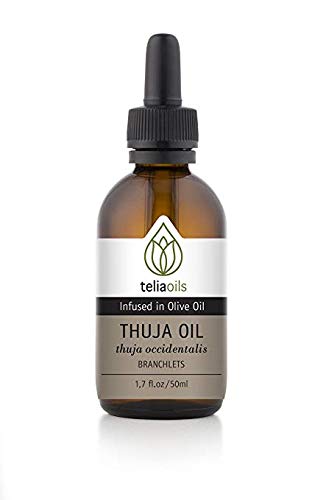 Thuja Infused Oil Extract (Macerated Oil), 1.7 Oz - 50 Ml/Useful for Skin Problems and Skin Infections.