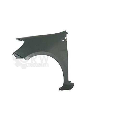 Diederichs Aile avant gauche Mod. 38,1 cm pour Renault Clio III 06.05-08.09 EX7, Plastique, Voiture, Front gauche