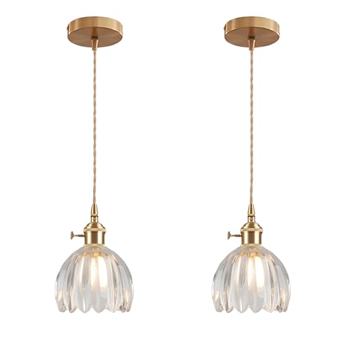 EKSED Lámpara Colgante Vintage de Vidrio con Casquillo E27 y Interruptor Giratorio, Pantalla con Forma de Pétalo para Cocina, Comedor o Dormitorio (transparente, 2 unidades)