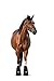 Ice Horse Laminitis Treatment Kit - Cooling Relief for Your Horse's Hooves with Pro Therapy Boots Kit Complete Horse Hoof Care Solution (Medium)