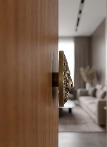 Image of LAPO Stylish Pull Handle for Main Door & Office Entrance, 4 Inch Modern Round Shape Push Pull Handle, Ergonomic Grip Handle, Easy Installation for Wooden & Glass Doors, Antique Finish - Pack of 1