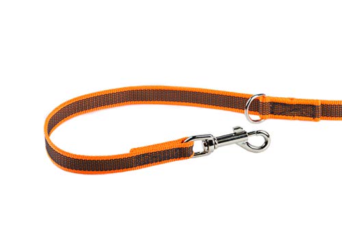 IDC Color & Gray verstellbare Leine mit Doppelkarabiner, 20 mm x 2,2 m, Orange-Grau
