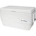 IGLOO Marine Ultra, Frigorifero all’Aperto, Bianco, 45 l