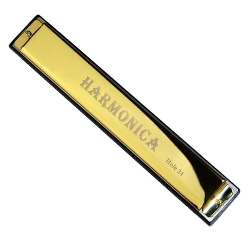 HYLQZAT Harmonica Adulte Harmonica Professionnel 24 Trous Corps en Métal Clé en Do avec Étui Adapté Aux Débutants(Gold)