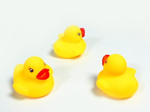 Amazon | 笛付きアヒル（大） 50入り | 縁日用品 | おもちゃ