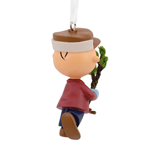 Hallmark Peanuts Charlie Brown With Tree Christmas Ornament (0002Hcm9097) #TOP1