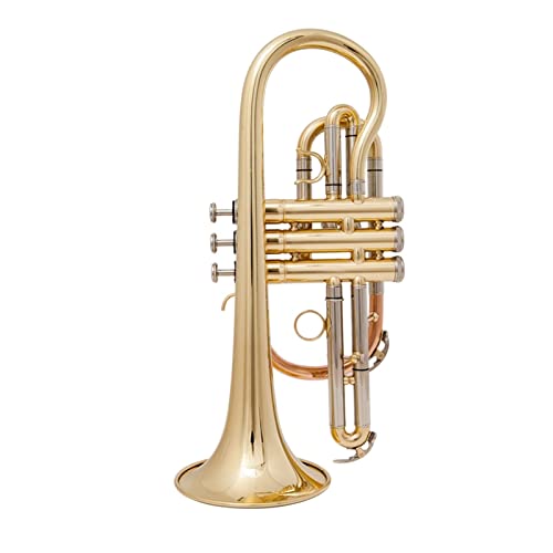 初心者トランペット ケースとマウスピースの楽器が付いているゴールデンBBコルネットトランペットの真鍮
