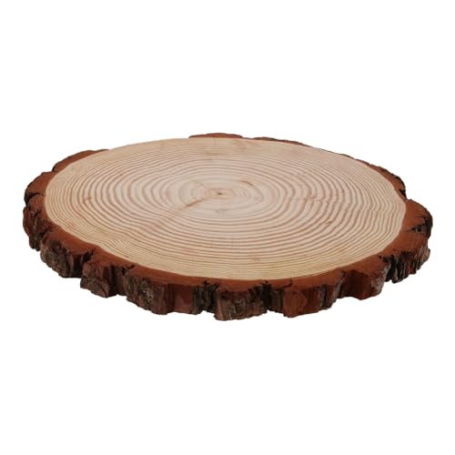 Zynphancer ؐݐ K[fpXCX ϋv ~ ѐ AOΉ Ԓd peBI DIY뉀ܑ yʐ݌v