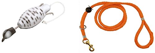 Dokken Bobwhite Quail Dog Training Dummy and Pro6 5-in-1 Leash Q100/RLX100