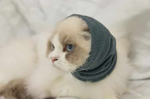 Image of Cat Ear Cover Keep Calm for cat Ear Wrap Hematoma Compression Comfort Anxiety Relief for Bathing, Grooming, Thunderstorms & Fireworks Aqua Blue S