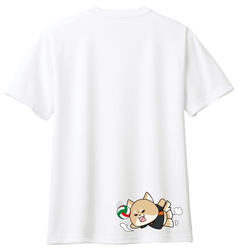 [HAYASAKA] yzyƂт݃V[uzyC^AJ[zo[{[ TVc  hCTVcy00300znCL[yWjA`lzhCf z K zCg MTCY