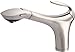 Danze Chrome Kitchen Pull-Out Faucet D456747SS