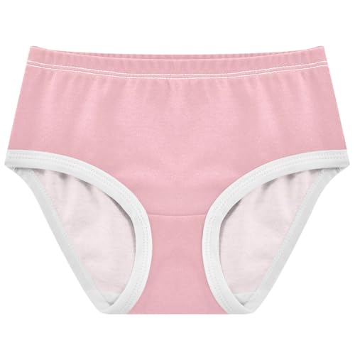 Joisal Blush Pink Gradient Ombre Girl Panties Cute Girls Underwear Toddlers Cotton Colorful Kids Undies Briefs 2t