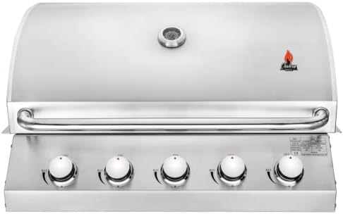 Churrasqueira a Gás de Embutir Concept Series 5 Queimadores