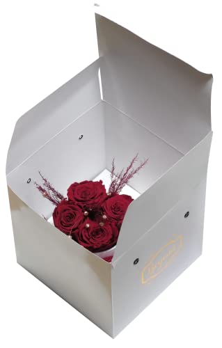 Beyond Flowerbox, Rosenbox, 4 Echte Infinity Rosen, Blumenbox, Bis 3 Jahre Haltbar, Handgefertigt, Rund, Weiße Box mit Konservierten Rosen und Pampasgras, Rot, ohne Text - Image 8