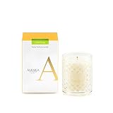 AGRARIA Lime and Orange Scented 3.4oz Perfume Candle - Premium Soy-Based Wax