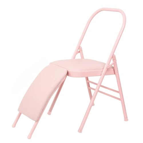 Emidor K̈֎qAṽKAVX^g`FAA܂肽݉\At`FAA⏕EGXgAT|[gAwX@AۊǁA|[^uXg[WA}`@\ANێցAg[jOXc[A׏d150kgiubNPUj (D(PU))