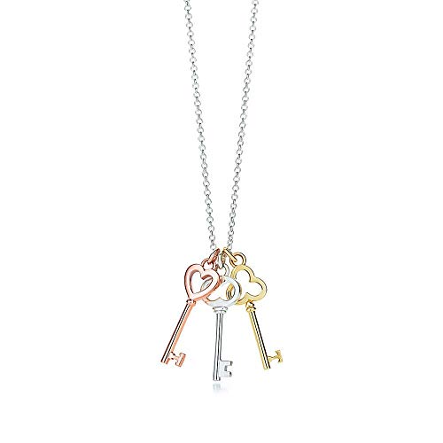 Pendentif clé de prune argent 925 : un cadeau brillant et exquis pour célébrer une femme unique