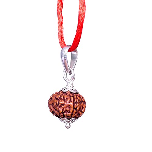 Image of REBUY 8 Mukhi Rudraksha Pendant Indonesian /Java Rudraksha Lab Certified Original Rudraksha Pendant for Men & Women, Origin Indonesian, Color Brown