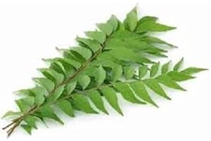 80PCS Curry Leaf Vegetable Seeds, Ready for Greenery