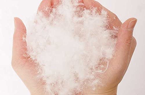 DS Solutions USA Bulk Goose Down Filling (1 lb.) – 80/20 100% Natural White Down and Feather – Fill Stuffing Comforters, Pillows, Jackets and More – Ultra-Plush Hungarian Softness