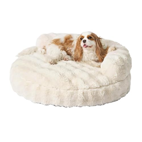 Fiozwea~p̌̌LpxbhA\t@AۉƑϊAOE\Ȋ~ߕtybgxbh (A,91*91*23)